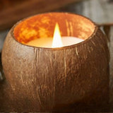 Coco Shell Pure Candle